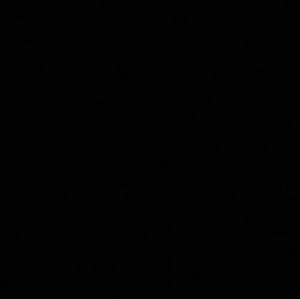 Meet your Posher, Mason